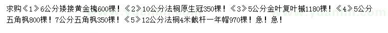 求购矮接黄金槐、法桐、金叶复叶槭等