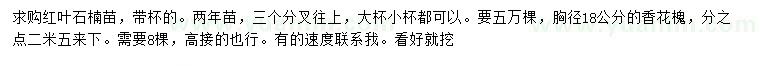 求购红叶石楠杯苗、胸径18公分香花槐