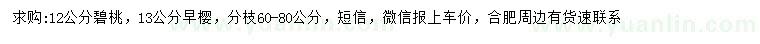 求购12公分碧桃、13公分早樱