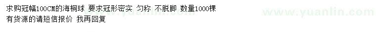 求购冠幅100公分海桐球 