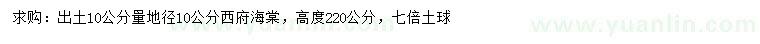 求购10公分量地径10公分西府海棠