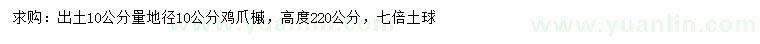 求购10公分量地径10公分鸡爪槭