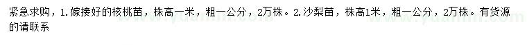 求购粗1公分嫁接核桃苗、沙梨苗