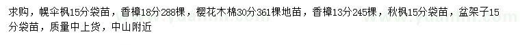 求购幌伞枫、香樟、秋枫等