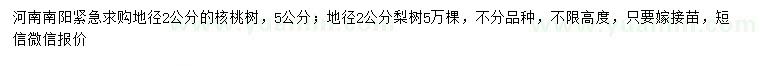 求购地径2、5公分核桃树、地径2公分梨树