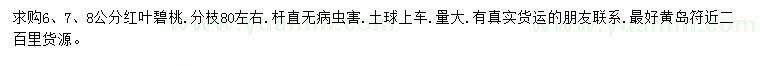 求购6、7、8公分红叶碧桃