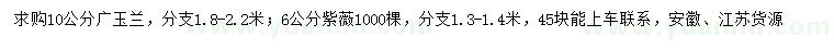 求购10公分广玉兰、6公分紫薇