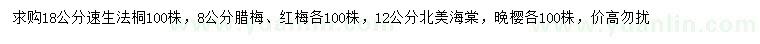 求购速生法桐、腊梅、红梅等