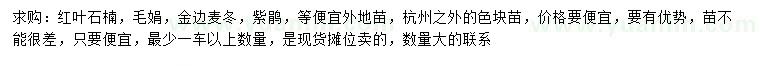 求购红叶石楠、毛娟、金边麦冬