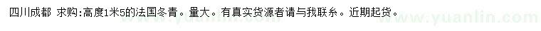 求购高度1.5米法国冬青