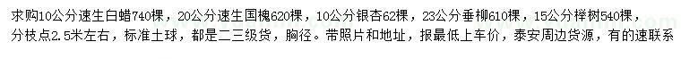 求购速生白蜡、速生国槐、银杏等