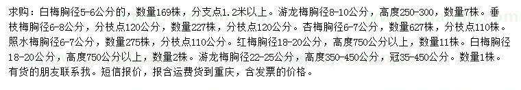 求购白梅、游龙梅、垂枝梅等