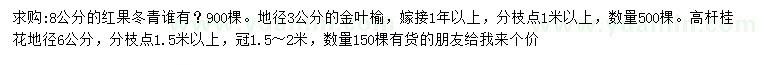 求购红果冬青、金叶榆、高杆桂花