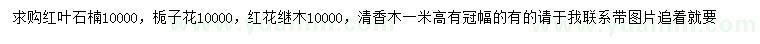 求购红叶石楠、栀子花、红花继木等