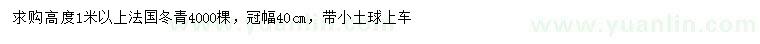 求购高度1米以上法国冬青