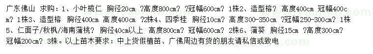 求购小叶榄仁、造型榕、四季桂等