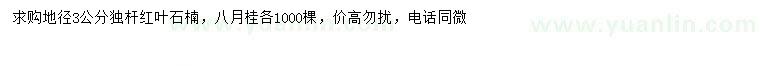 求购3公分独杆红叶石楠、八月桂