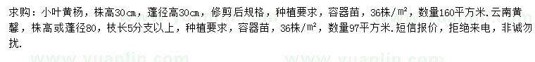 求购株高30公分小叶黄杨、株高80公分云南黄馨