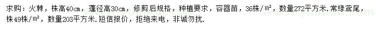 求购棉高40公分火棘、常绿鸢尾