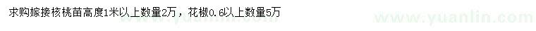 求购高度1米以上嫁接核桃苗、0.6公分以上花椒