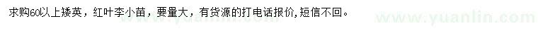 求购60公分以上矮樱、红叶李小苗