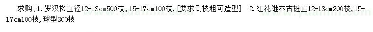 求购直径12-13公分罗汉松、红花继木古桩