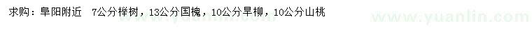 求购榉树、国槐、旱柳等