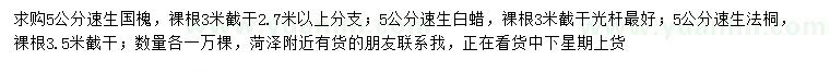 求购速生国槐、速生白蜡、速生法桐