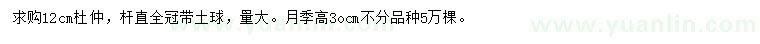 求购12公分杜仲、高30公分月季