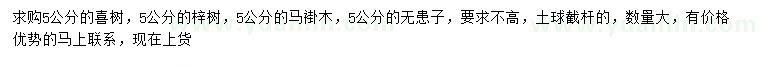 求购喜树、梓树、马褂木等