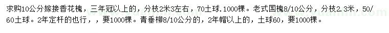 求购嫁接香花槐、老式国槐、青垂柳