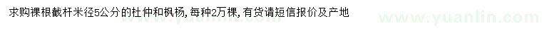 求购米径5公分杜仲、枫杨