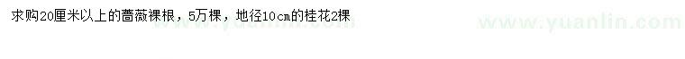 求购20公分以上蔷薇、地径10公分桂花