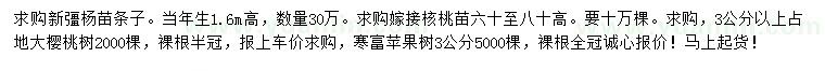 求购新彊杨苗条子、嫁接核桃苗、大樱桃树等