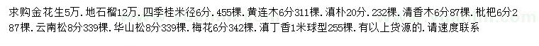 求购金花生、地石榴、四季桂等