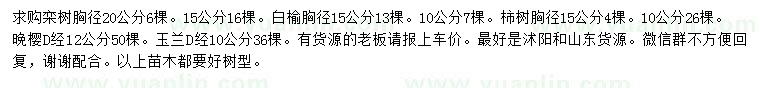 求购栾树、白榆、柿树等