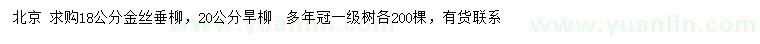 求购18公分金丝垂柳、20公分旱柳