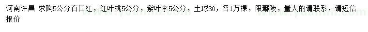 求购百日红、红叶桃、紫叶李