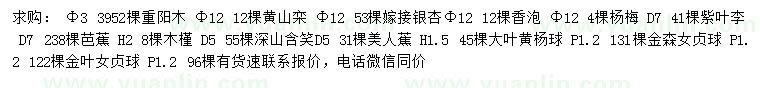 求购重阳木、黄山栾、银杏等