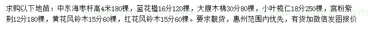 求购中东海枣、蓝花楹、大腹木棉等