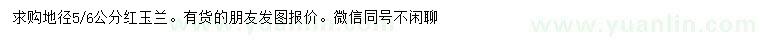 求购地径5、6公分红玉兰