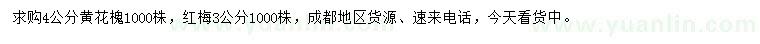 求购4公分黄花槐、3公分红梅