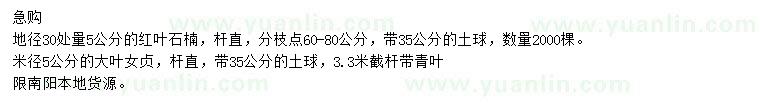 求购地径30处量5公分红叶石楠、米径5公分大叶女贞