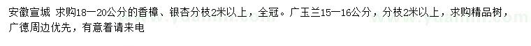 求购18-20公分香樟、15-16公分广玉兰
