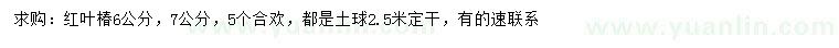 求购6、7公分红叶椿、5公分合欢