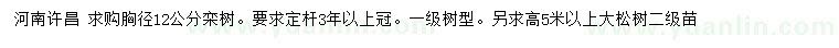 求购胸径12公分栾树、高5米以上大松树