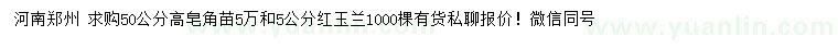 求购高50公分皂角苗、5公分红玉兰