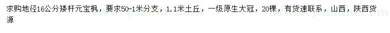 求购地径16公分矮杆元宝枫