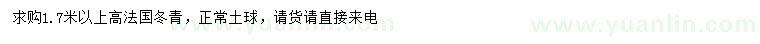 求购高1.7米以上法国冬青