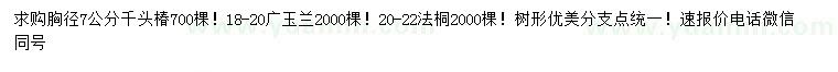 求购千头椿、广玉兰、法桐